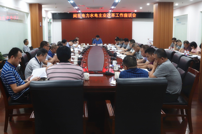 水电主业改革座谈_副本.jpg
